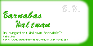 barnabas waltman business card